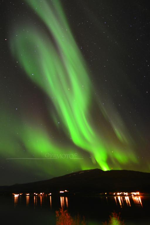 Hakoyveien 151, Tromso 호텔 외부 사진